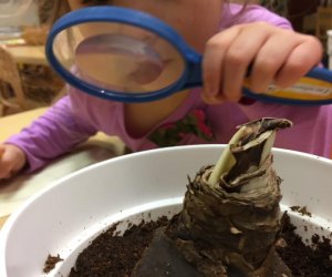 Science and Nature Camps in Fairfield County