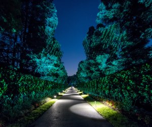 A Review of Longwood Gardens' Nightscape