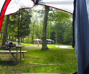 Wildwood State Park is home to a beautiful, sandy camping spot