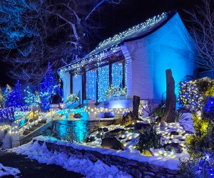 See what's merry and bright this season at the best holiday lights drive-thrus and Christmas light shows in Boston! Naumkeag Winterlights photo courtesy of The Trustees of Reservations
