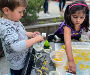 Enjoy Interactive activities and outdoor exploration at summer day camps. Photo courtesy of Peekadoodle Summer Camp