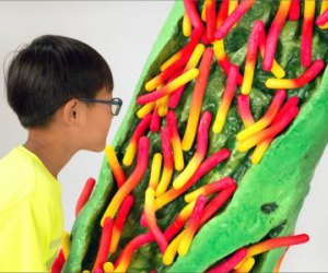 Best Fall Museum Exhibits for NYC Kids