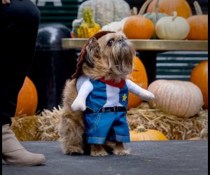 LA Kings Dog Jersey - Pet Costume Center