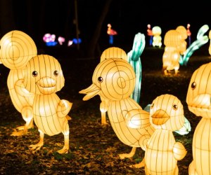 The New York Winter Lantern Festival - Suffolk Winter Lantern Festival
