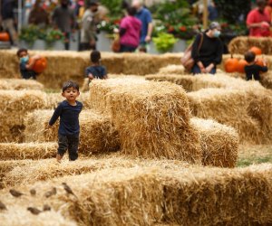 A huge hay maze descends on Dilworth at the end of the month. Photo by Matt Stanley for Center City District