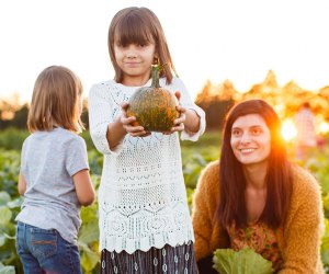 Things To Do in NJ this Weekend: Fall Festivals, Zombie Walk, Sesame Street Live Fall Festival Weekends are happening at Johnson's Corner Farm. Photo courtesy of the farm