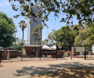The La Brea Tar Pits and Page Museum: Excavation pits