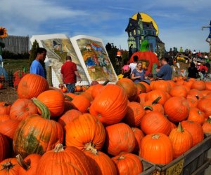 13 Not-So-Scary Halloween Activities for Philly Area Kids