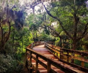 Hike through scenic wetlands at Challenger Seven Memorial Park.