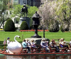 Spring Activities Near Boston for Kids: image of Swan Boats.