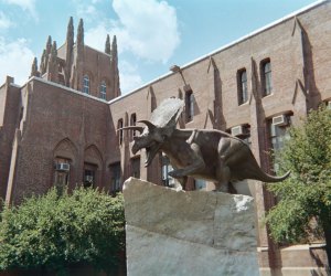 Build, Sail, Dance, Eat, See the Stars and Some Street Art in New Haven
