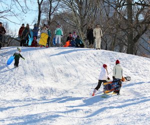 Central Park has plenty of sledding hills