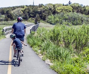 Spring Day Trips From Boston: Biking at Nickerson State Park.