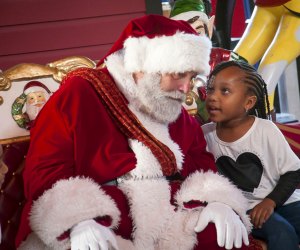 Ultimate Winter Bucket List: 35 Best Things To Do with Kids in DC
