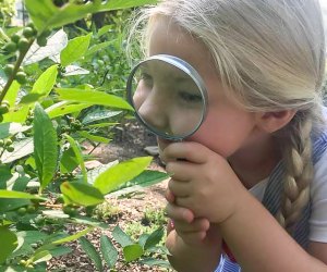 Explore nature at the Montessori-based Green Hedges Summer Camp. Photo courtesy of the camp
