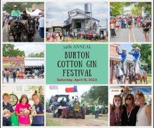 34th Annual Burton Cotton Gin Festival Mommy Poppins Things To