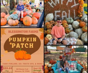 Best Pumpkin Patches in New Jersey for Kids - Mommy Poppins