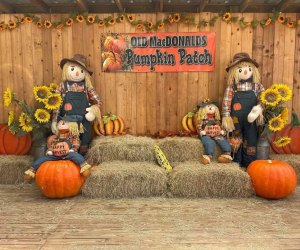 Best Pumpkin Patches in New Jersey for Kids - Mommy Poppins