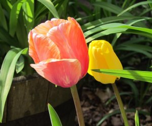 20 Reasons to LOVE Spring in Eastern Connecticut