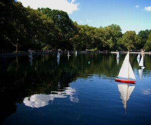 Central Park's Conservatory Water filled with sailboats