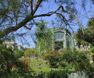 Explore the Jardin des Plantes during a visit to Paris with kids