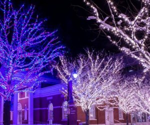 A new holiday lights tradition has sparkled at Mill River Park. Photo courtesy of Stamford-downtown.com