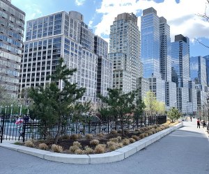 Riverside Park South pathways and planting beds