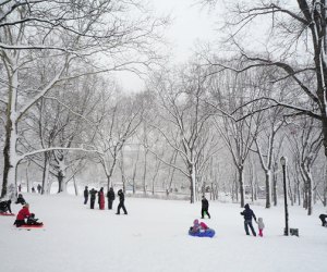 Astoria Park's sledding hill is in the middle of a winter wonderland