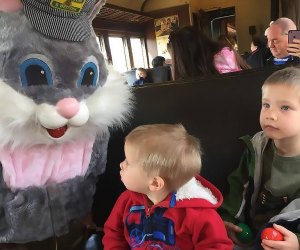 Hop aboard the Cottontail Limited to go on an egg hunt and meet the Easter Bunny. Photo courtesy of the Black River Western Railroad