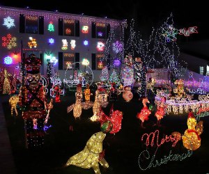 Fifth Streets Christmas Lights in Ronkonkoma