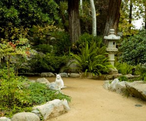 Fun Things To Do in Los Angeles this Winter Break: Storrier Stearns Japanese Gardens