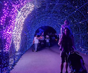 Nights of the Jack Is Now Open: Tunnel of lights