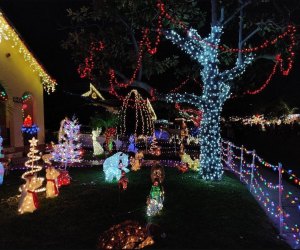 Holiday lights at Candy Cane Lane