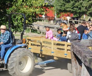 Best Farms for Family Fun and Entertainment in Chicago: kids on a tractor ride
