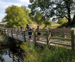  Best Campgrounds for Tent Camping near Chicago: Indiana Dunes