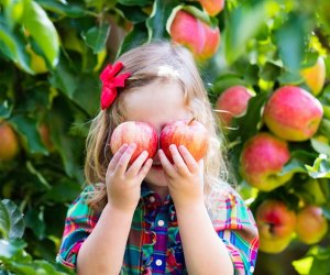 Best Farms for Family Fun and Entertainment in Chicago: girl holding apples over her eyes