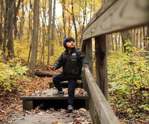 Toddler boy on a hiking trail at Cheesequake State park open now in New Jersey