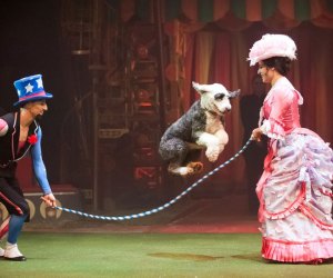 Photo courtesy of The Big Apple Circus 