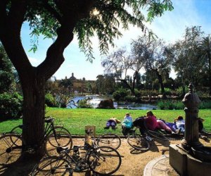 Take a break from walking in Barcelona and relax at Ciutadella Park. Photo courtesy of Visit Barcelona