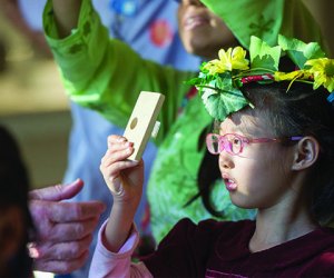 Summer Solstice Celebration 2019: Night at the Harvard Museums of Science & Culture