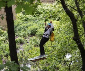 Zip Line and Aerial Treetop Fun Coming to Bronx Zoo