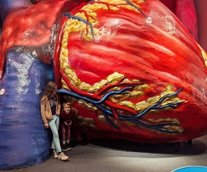 The Franklin Institute: Pennsylvania Bucket List: 100 Things To Do With Kids in PA