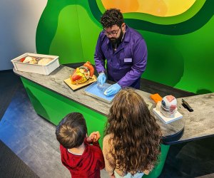 The Giant Heart is Back and Better Than Ever at the Franklin Institute