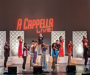 The high-energy musical celebration of contemporary a cappella, A Cappella Live, shines the spotlight on the greatest and best-known hits of four groups. Photo courtesy of the  performers