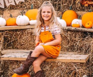 Get into the fall spirit at Family Farms, with pumpkin picking, arts and crafts, photo opps, and more. Photo courtesy of Family Farms