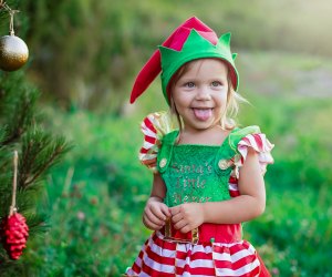 Try to find Santa's reindeer at A Very Merry Garden: Reindeer Round-Up  & Santa Letters at Fairchild Tropical Botanic Garden. Photo courtesy of the event