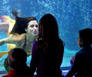 November school holidays things to do in New Jersey with kids: Adventure Aquarium