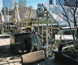 Dine in a greenhouse or on the heated patio at Aba's in Chicago