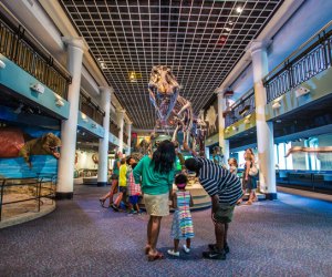 10 Reasons You Should Visit the Academy of Natural Sciences this