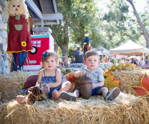 Free in October: 25 Totally Free Things To Do with Kids in Los Angeles this Month Acorn Day photo courtesy of OC Parks